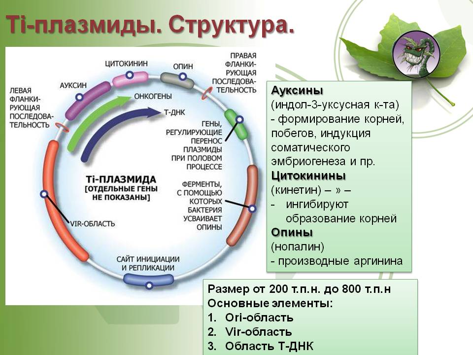 Кракен купить наркотики