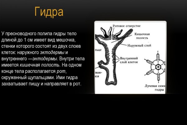 Как зарегистрироваться на кракене из россии