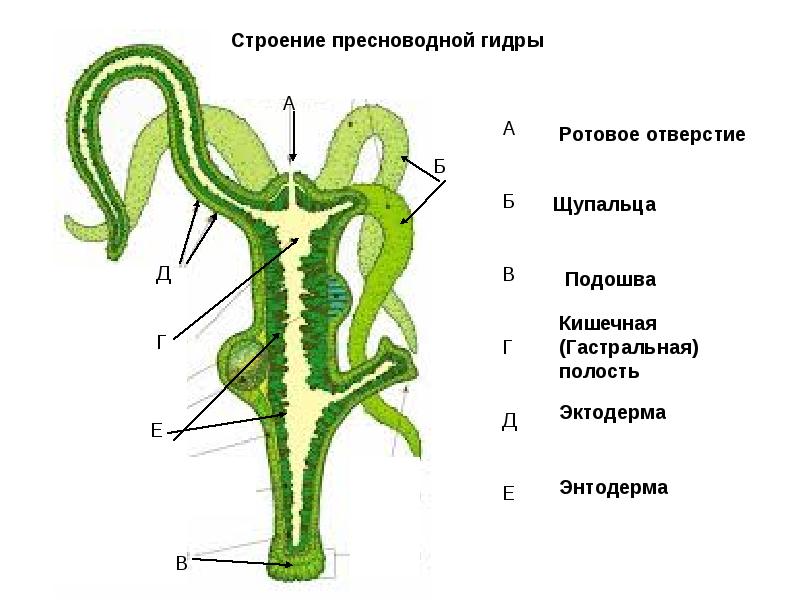 Не входит в кракен пользователь не найден